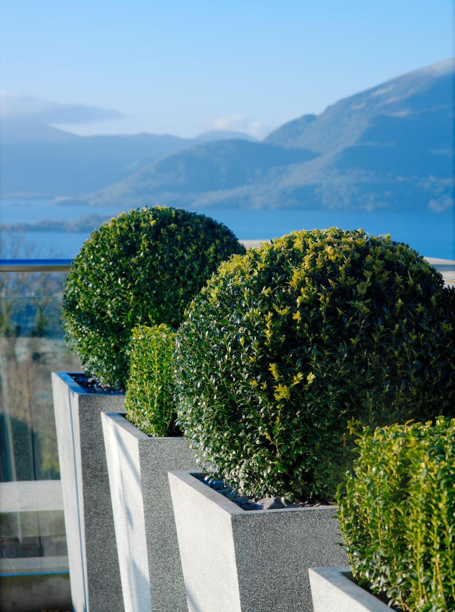 Aghadoe Heights Hotel & Spa Killarney Ngoại thất bức ảnh Boxwood